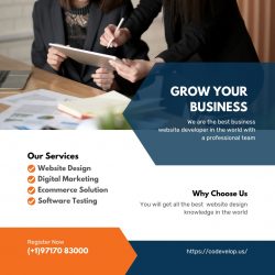 Grow your business with codevelop’s website design
