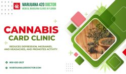 Healthcare Cannabis Physicians