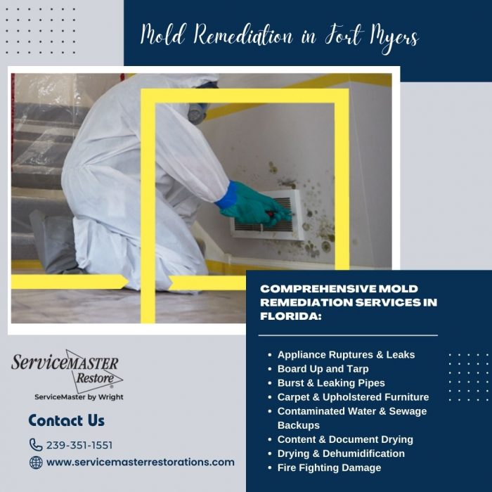 Hire An Expert Mold Remediation in Fort Myers