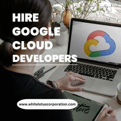 Hire Google Cloud Developer at Whitelotus Corporation