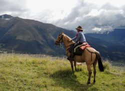 Galloping through Nature: Captivating Horseback Riding Adventures
