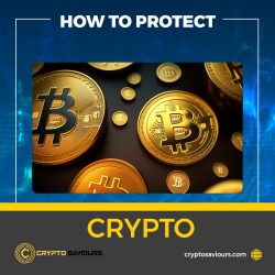 Ensure the Safety of Your Digital Wealth: Learn How to Protect Crypto with CryptoSaviours