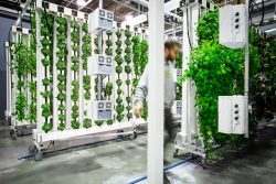 Get Growing with the Best Hydroponics Equipment Supplier