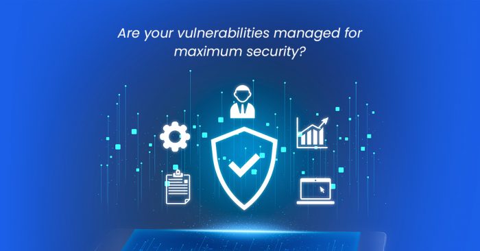 Managing the Vulnerabilities
