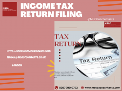 MSCO Accountants: Business Income Tax Return Filing Experts in London