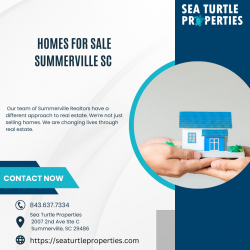 Discover Your Dream Home in Summerville, SC with Sea Turtle Properties