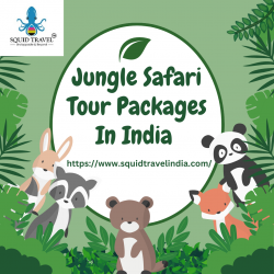 Jungle Safari Tour Packages In India | Squid Travel