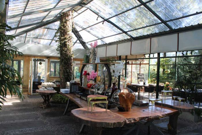 Restaurant in Kasauli – Brook & Pines – Kasauli Hills Resort