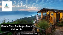 Kerala Tour Packages From California | Squid Travel