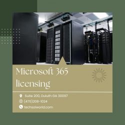 Microsoft 365 Licensing | Technology Solutions Worldwide
