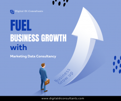 Data-Driven Success: Fuel Business Growth with Marketing Data Consultancy