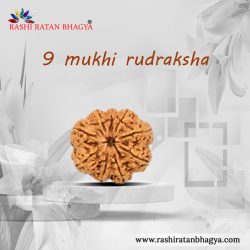 Shop 9Mukhi Rudraksha OnlineFrom RashiRatanBhagya at the Best price.