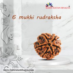 6 Mukhi Rudraksha Online best price in India.