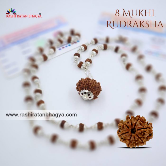 Buy 8 Mukhi Rudraksha FromRashiRatanBhagya At Genuine