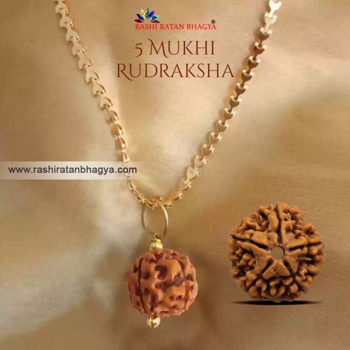 5 Mukhi Rudraksha Online best price in India.