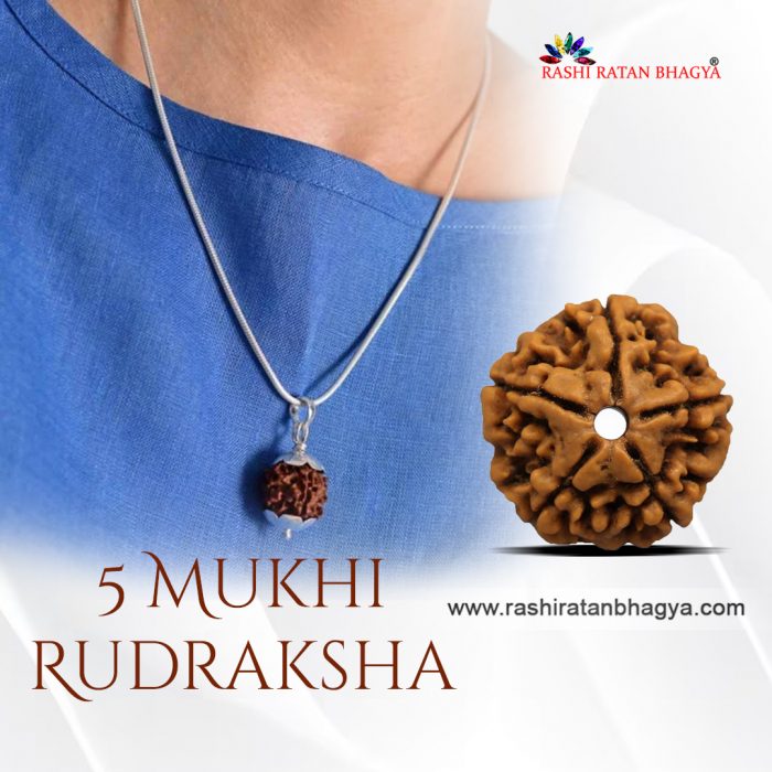 Shop 5 Mukhi Rudraksha Online At the best Price