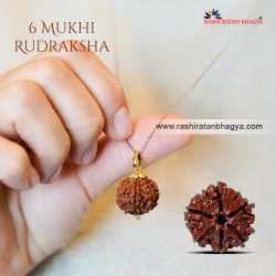 Shop 6 Mukhi Rudraksha Online At the best Price