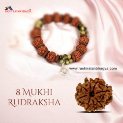 Shop 8 Mukhi Rudraksha OnlineFrom RashiRatanBhagya at the Best price.
