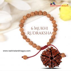 6 Mukhi Rudraksha Online best price in India.