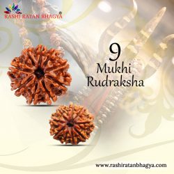 Shop 9 Mukhi Rudraksha Online at The Best Price