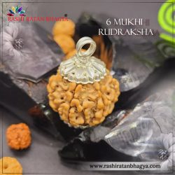 Shop 6 Mukhi Rudraksha OnlineFrom RashiRatanBhagya at the Best price.