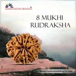 8 Mukhi Rudraksha Online Best price in India.
