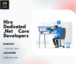 Hire Dedicated .Net Core Developers | Hire .Net Core Programmers