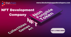 NFT Development Company – Build your unique NFT Development platform
