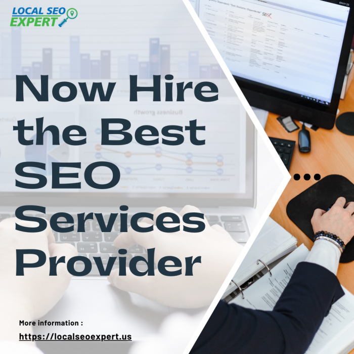 Now Hire the Best SEO Services Provider