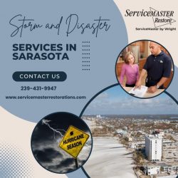 Obtain Storm and Disaster Services in Sarasota