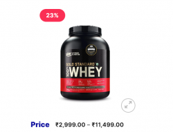 Optimum Nutrition ON Whey Protein (Gold Standard Whey)