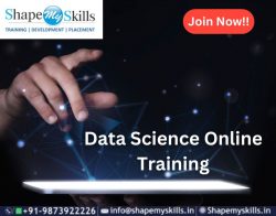 Opportunity Unlocked | Data Science Training In Delhi | ShapeMySkills