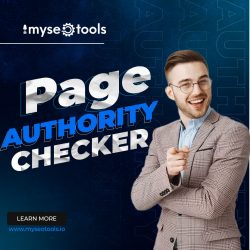 Maximize Your Website’s Potential with Myseotools’ Page Authority Checker