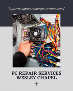 Get The Fast & Authentic PC Repair Services Wesley Chapel