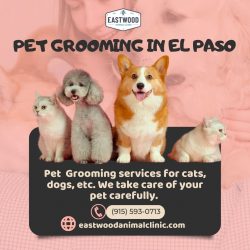 Pet grooming in El Paso