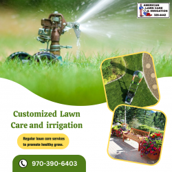 Professional Irrigation Systems For Your Lawn Care