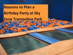 Reasons to Plan a Birthday Party at Sky Zone Trampoline Park