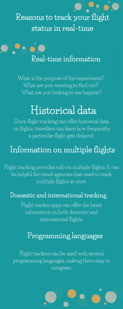 Reasons to track your flight status in real-time