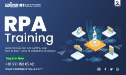 What is the Role of an RPA developer?