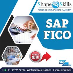 best SAP FICO training institute in Noida