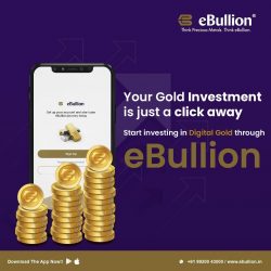 Secure Your Future with Digital Gold – Invest Online