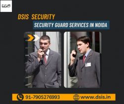 Hire Professional Security Guards For Event – DSIS Security