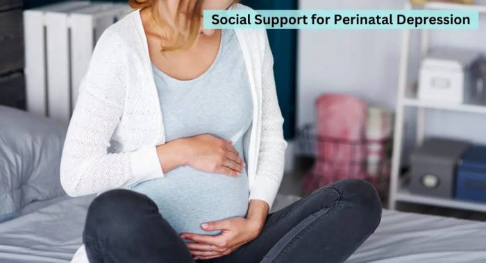 Social Support In Managing Perinatal Depression – Mental well being