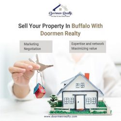 Real Estate Property Consultant In Buffalo