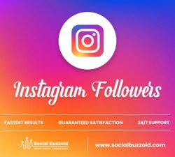 Buy Premium Instagram Followers