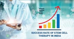 What Is The Success Rate Of Stem Cell Therapy In India?