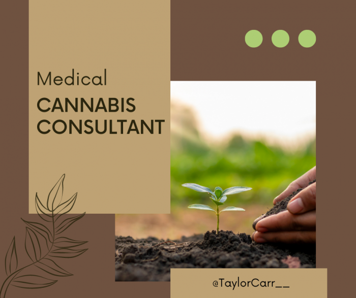 Taylor Carr | Medical Cannabis Consultant
