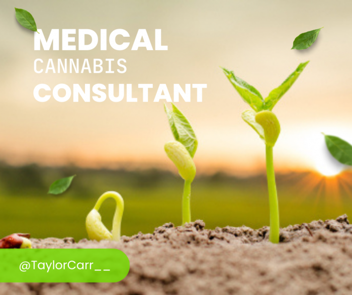 Taylor Carr | Professional Medical Cannabis Consultant