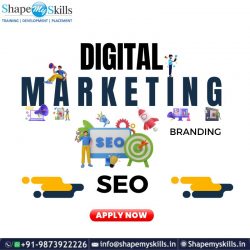 Top Career in Digital Marketing Training | ShapeMySkills