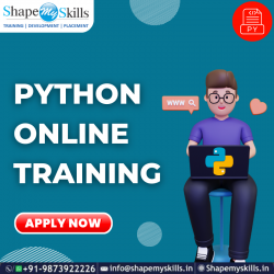 Top Python Training in Noida | ShapeMySkills